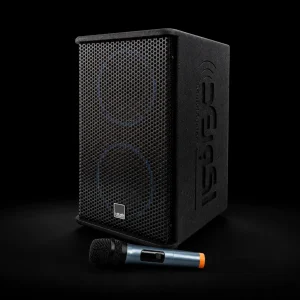 اکو پرتابل اکو رعد Echo Rad 906 + میکروفون بی‌سیم