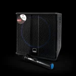 اکو پرتابل اکو رعد R910 + میکروفون بی‌سیم